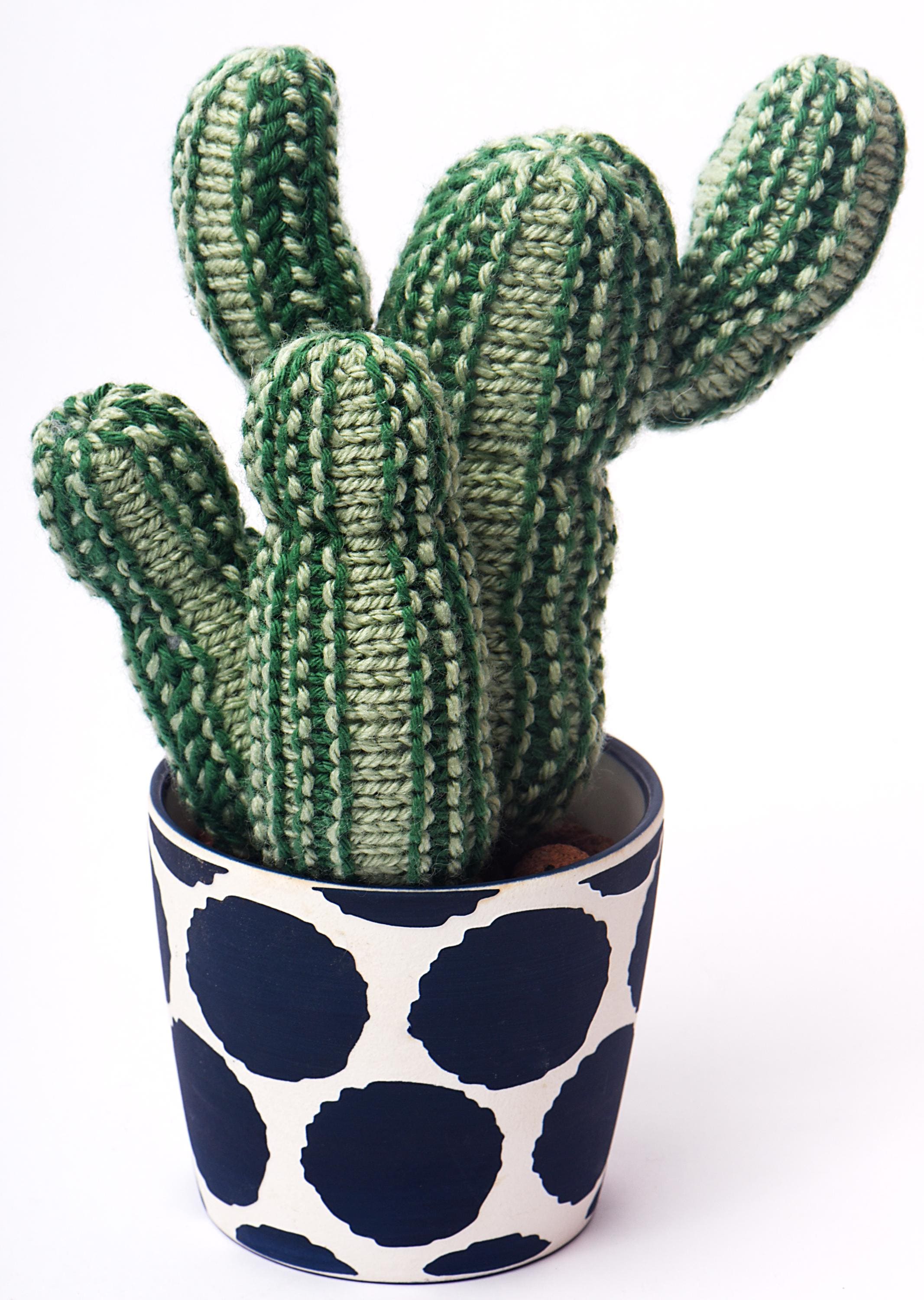 Middle finger cactus - Etsy sterreich
