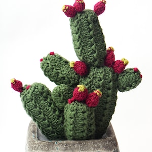 Prickly Pear Cactus Knitting Pattern. Easy to knit.