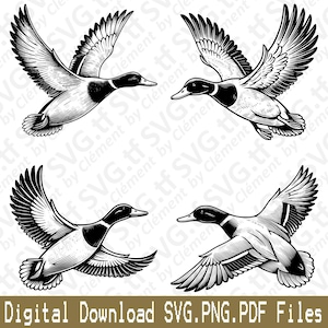May include: Four black and white illustrations of flying ducks. Each duck is depicted in a different pose with its wings spread out.