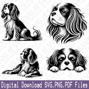 Épagneul Cavalier King Charles. Fichiers SVG PNG PDF. Chien assis allongé avec un regard furtif dans sa tête, impression de clipart vectoriel, découpe, gravure au laser, silhouette cricut.