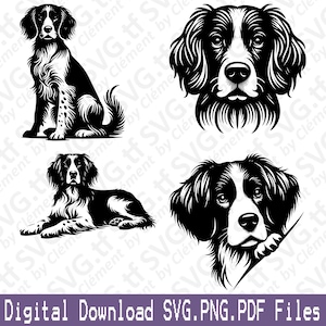 Epagneul Breton. File SVG PNG PDF. Cane carino seduto sdraiato che fa capolino dalla testa Clipart vettoriale Stampa Taglio Incisione Laser Cricut Silhouette.