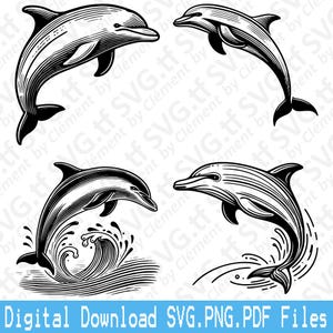 Dauphin. Fichiers SVG PNG PDF. Océan, animal mignon béluga, requin-baleine, clipart vectoriel, impression découpée, gravure laser, silhouette cricut.
