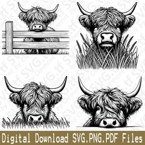 Gluren Hooglandkoe. SVG png-pdf-bestanden. Hek dieren verbergen spelen vector clipart print knippen graveren laser Cricut silhouet.