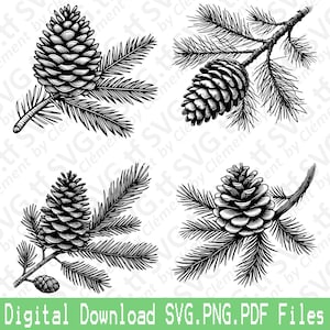 Dennenappel Op Boomtak. SVG png-pdf-bestanden. Natuur krans kersttafel vector clipart print knippen graveren laser Cricut silhouet.