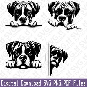 Puede incluir: Ilustraciones en blanco y negro de perros Boxer en varias poses. Los perros se representan con las patas apoyadas en una superficie. El texto "Digital Download SVG.PNG.PDF Files" está incluido.
