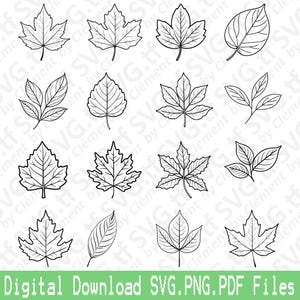 May include: A set of 12 black and white outline illustrations of various leaf shapes. The leaves are arranged in a grid pattern.