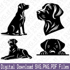 Puede incluir: Un conjunto de cuatro imágenes en silueta negra y blanca de un labrador retriever en diferentes poses. El perro se muestra sentado, mirando hacia un lado, mirando hacia adelante y asomándose por encima de una superficie.