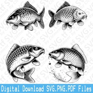 Karpervissen. SVG png-pdf-bestanden. Springen rivier vijver meer dier vector clipart print knippen graveren laser Cricut silhouet.