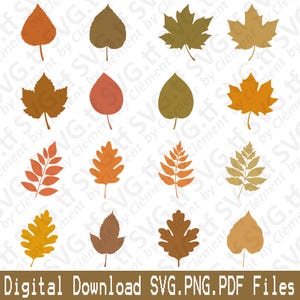 Op de afbeelding: Set van 12 SVG-snijbestanden voor herfstbladeren. De bladeren zijn in verschillende tinten oranje, bruin, geel en rood. De bladeren zijn in verschillende vormen, waaronder esdoorn, eik en varen.