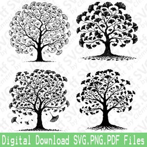 May include: Four black and white illustrations of ginkgo trees with intricate leaf details. The trees are drawn in a stylized, hand-drawn style.