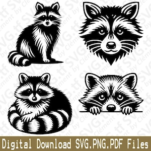 Raton laveur. Fichiers SVG PNG PDF. Animal mignon sauvage marchant assis couché avec un coup d'oeil tête Vector Clipart impression découpe gravure laser Cricut Silhouette.