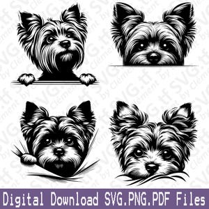 May include: A digital download graphic featuring four black and white illustrations of a Yorkshire Terrier dog. The dog's face is the primary focus, with variations including the dog peeking over a line and emerging from a surface. Text at the bottom reads "Digital Download SVG.PNG.PDF Files."