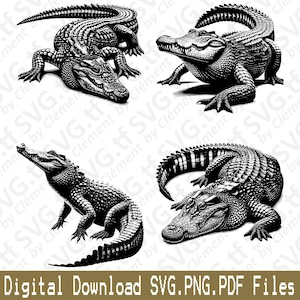 Può includere: Quattro illustrazioni dettagliate in bianco e nero di alligatori in varie pose. Il download digitale include file SVG, PNG e PDF. Il testo "Digital Download SVG.PNG.PDF Files" è in basso.