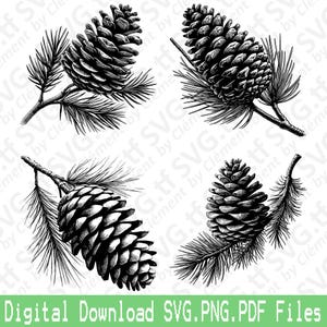 May include: Black and white illustration of four pine cones with detailed textures, each attached to a branch with needles. The image includes the text "Digital Download SVG.PNG.PDF Files" at the bottom.