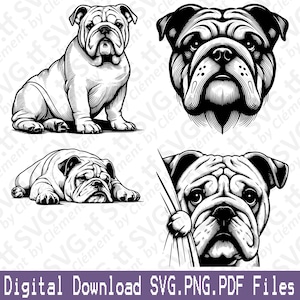 Peut inclure: Quatre illustrations en noir et blanc d'un bouledogue. La première image montre un bouledogue assis, les pattes croisées. La deuxième image montre la tête et les épaules d'un bouledogue. La troisième image montre un bouledogue couché. La quatrième image montre un bouledogue qui regarde par-dessus un rideau.