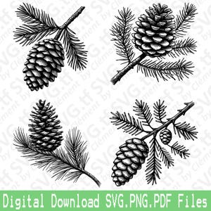 Pigna su ramo di albero. File SVG PNG PDF. Ghirlanda di natura Tavolo di Natale Clipart vettoriale Stampa Taglio Incisione Laser Cricut Silhouette.