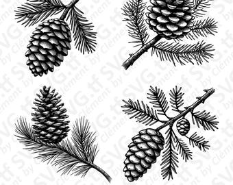 Pine Cone On Tree Branch. SVG PNG PDF files. Nature Wreath Christmas Table Vector Clipart Print Cut Engrave Laser Cricut Silhouette.