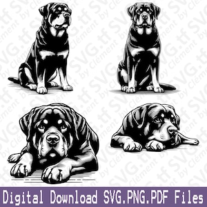 Rottweiler. Archivos SVG, PNG y PDF. Lindo perro sentado, tumbado, asomando la cabeza. Clipart vectorial. Impresión, corte, grabado láser, Cricut. Silueta.