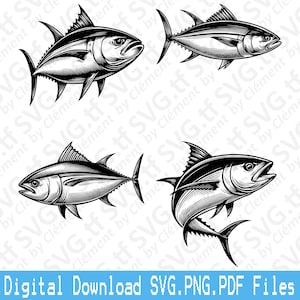May include: Four black and white line drawings of tuna fish. The tuna are depicted in various poses, including swimming and leaping out of the water. The drawings are detailed and realistic, capturing the fish's anatomy and features.