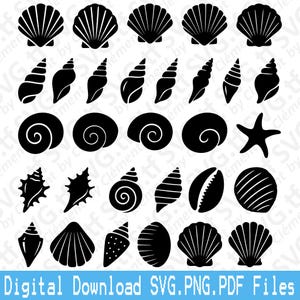 Könnte beinhalten: Eine Sammlung schwarzer Muschelsilhouetten, darunter verschiedene Arten von Muscheln und ein Seestern. Das Bild zeigt eine Vielzahl von Formen und Größen, ideal für Bastel- oder Designprojekte. Der Text unten lautet "Digital Download SVG.PNG.PDF Files."