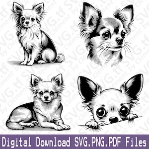 May include: Four black and white illustrations of a chihuahua dog. The first image shows the dog sitting, the second shows the dog's head, the third shows the dog lying down, and the fourth shows the dog peeking over a surface.