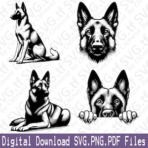 May include: Black and white digital download featuring four illustrations of a German Shepherd dog. The images include a full body sitting pose, a headshot, a lying down pose, and a head with paws. Text at the bottom reads "Digital Download SVG.PNG.PDF Files."