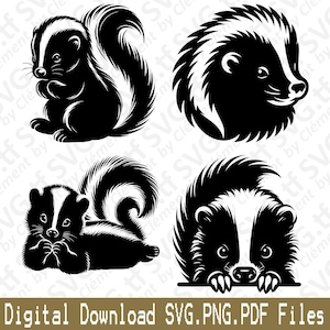 Peut inclure: Quatre illustrations en noir et blanc d'une moufette dans différentes poses. La moufette est de face, enroulée, couchée et en train de regarder par-dessus une surface.