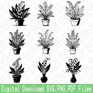 Lirio de los valles. Archivos SVG, PNG y PDF. Maceta, jarrón, ramo, naturaleza, regalo, vector, clipart, impresión, corte, grabado, láser, Cricut, silueta.