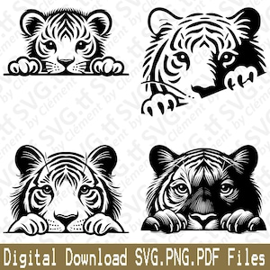 Könnte beinhalten: Vier Schwarzweiß-Illustrationen von Tigergesichtern, die über eine Oberfläche schauen. Jeder Tiger hat einen anderen Ausdruck und eine andere Pose.