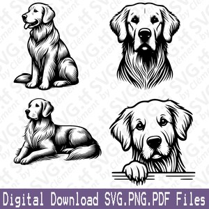 Golden Retriever. SVG PNG PDF Dateien. Niedlicher Hund, sitzend, liegend, spähender Kopf, Vektor-Clipart-Druck-Schnitt, Gravur, Laser Cricut, Silhouette.