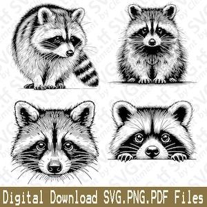Raton laveur. Fichiers SVG PNG PDF. Animal mignon sauvage marchant assis couché avec un coup d'oeil tête Vector Clipart impression découpe gravure laser Cricut Silhouette.