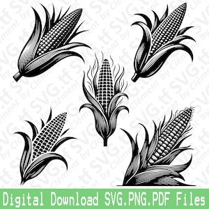 Ear Of Corn. SVG PNG PDF files. Fall Autumn Field Food Nature Vector Clipart Print Cut Engrave Laser Cricut Silhouette.