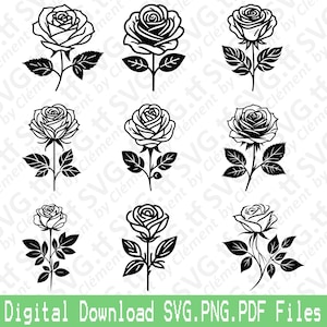 Flor de rosa. Archivos SVG PNG PDF. Amor San Valentín Ramo Naturaleza Regalo Vector Clipart Impresión Corte Grabado Láser Cricut Silueta.