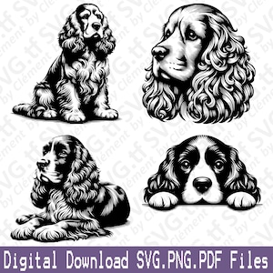 May include: A digital download graphic in black and white, presenting four Cocker Spaniel illustrations. The images depict the dogs in different positions, such as sitting, lying down, and a head close-up. The text "Digital Download SVG.PNG.PDF Files" is at the bottom.