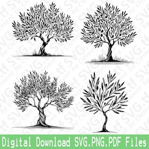 May include: Four black and white silhouette illustrations of olive trees with branches and leaves. The trees are drawn in a simple, stylized manner.