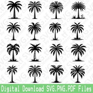 May include: A collection of black palm tree silhouettes in various styles. The image features multiple designs of palm trees, each with a distinct trunk and frond arrangement. The text at the bottom reads "Digital Download SVG.PNG.PDF Files."