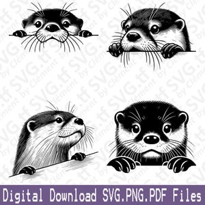 Loutre furtive. Fichiers SVG PNG PDF. Mignon animal sauvage, tête, eau, rivière, lac, vecteur, clipart, impression, découper, graver, laser, cricut, silhouette.