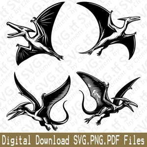 Pterodáctilo. Archivos SVG, PNG y PDF. Animal salvaje, dinosaurio, naturaleza, Jurásico, T-Rex, raptor, vector, clipart, impresión, corte, grabado, láser, Cricut, silueta.