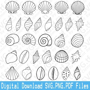May include: Black and white line art illustrations of various seashells, including conch shells, scallops, and spiral shells. The phrase "Digital Download SVG.PNG.PDF Files" is displayed at the bottom.