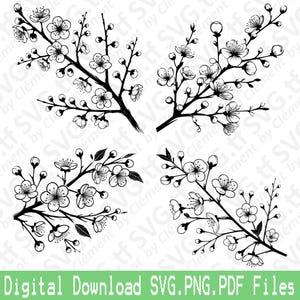 Fleur de cerisier. Branche de sakura. Fichiers SVG PNG PDF. Corée, Japon, jardin, nature, vecteur, clipart, impression, découper, graver, laser, cricut, silhouette.