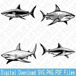 Squalo. File SVG PNG PDF. Grande animale marino bianco Delfino Vettore Clipart Stampa Taglio Incisione Laser Cricut Silhouette.