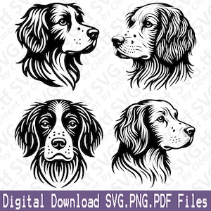 Testa di Spaniel Bretagna. File SVG PNG PDF. Cane carino seduto sdraiato che sbircia Clipart vettoriale Stampa Taglio Incisione Laser Cricut Silhouette.