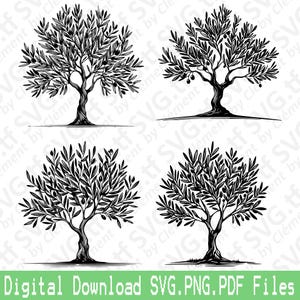 Olivenbaum. SVG PNG PDF Dateien. Mediterran, Garten, Natur, Clipart, Schneiden, Gravieren, Laser, Cricut, Silhouette.
