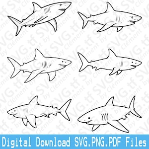 Requin. Fichiers SVG PNG PDF. Grand dauphin blanc, impression de clipart vectoriel, découpe, gravure laser, silhouette Cricut.