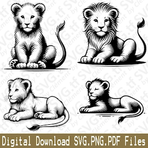 Cucciolo di leone. File SVG PNG PDF. Testa carina sdraiata seduta animale selvatico giungla vettoriale clipart stampa taglio incisione laser cricut silhouette.