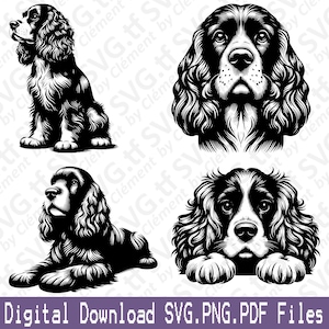 May include: Four black and white Cocker Spaniel illustrations. One shows the dog sitting, another lying down, and two close-ups of the dog's face. The text "Digital Download SVG.PNG.PDF Files" is at the bottom.