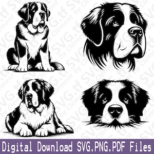 May include: Four black and white illustrations of a Saint Bernard dog in different poses. The dog is shown sitting, lying down, and with its head turned to the side. The illustrations are in a simple, stylized style.