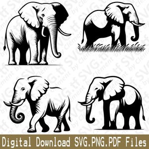 May include: A collection of four black and white elephant illustrations in various poses. The elephants are depicted with detailed features, including tusks, ears, and trunks. The text "Digital Download SVG.PNG.PDF Files" is at the bottom.