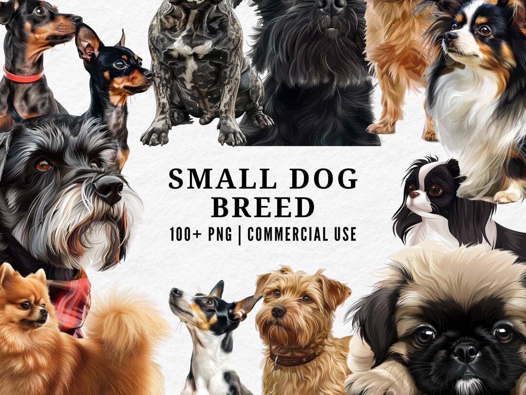 Small Dog Breed Clipart, Cute Puppy PNG, Toy Dog Illustration, Adorable ...