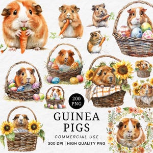 Guinea Pig Clipart Set: Watercolor Cavy PNG (Digital Download)